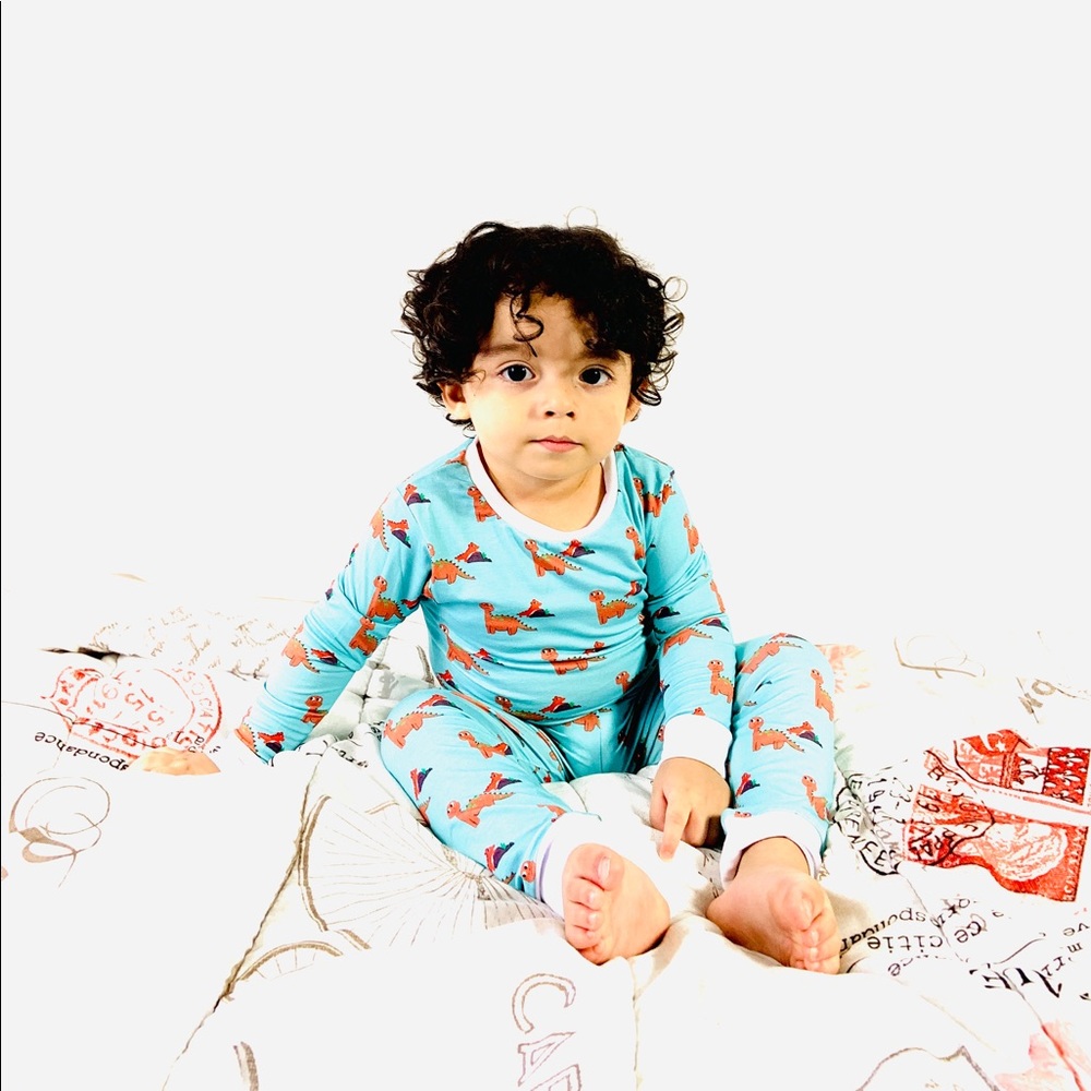 Dinosaurs long sleeves bamboo cotton pajamas set
